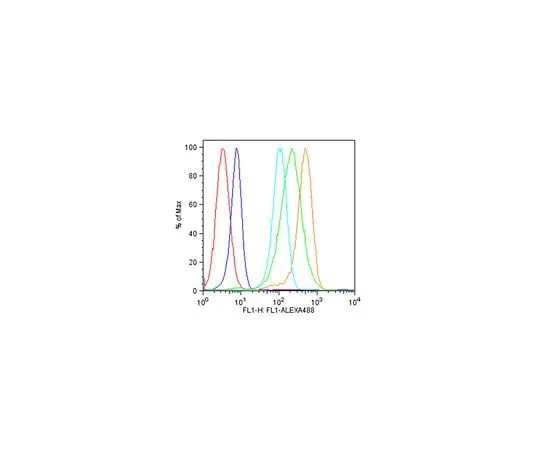 62-8465-12 Anti-IFIT3 Antibody ABF1048