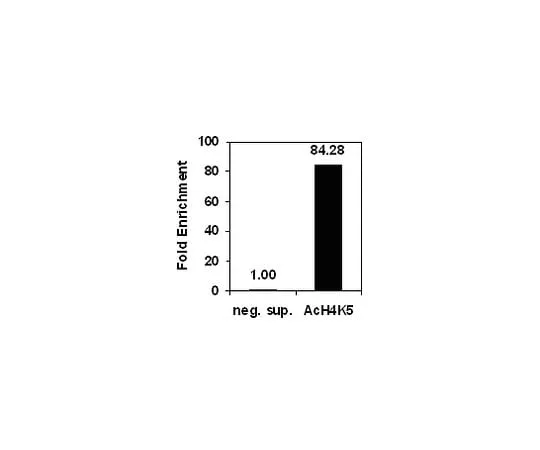 62-8393-98 ChIPAb+ Acetyl-Histone H4 (Lys5); 25 assays 17-10045