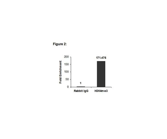 62-8372-71 Anti-trimethyl-Histone H3 (Lys4), clone 15-10C-E4,Trial Size 05-745R-S