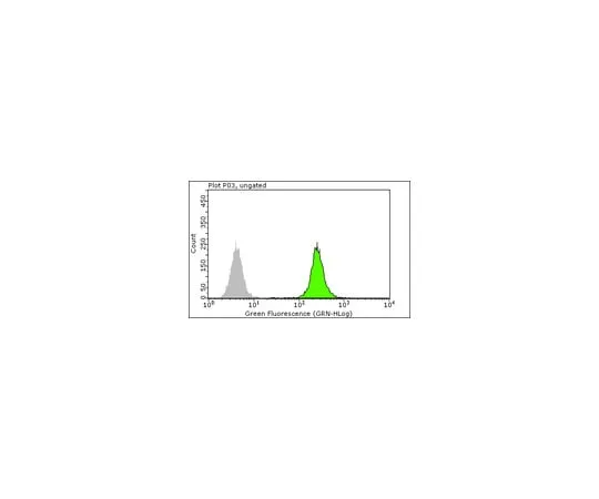 62-8369-18 Anti-RPA2 p34, clone RPA20 1-46; 100 μg 04-1481