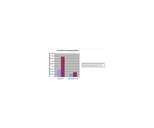 62-8388-36 Anti-TAF3; 100 μL 07-1802