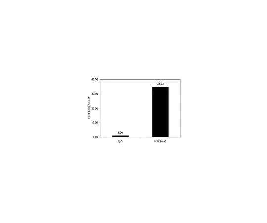 62-8393-62 ChIPAb+ Trimethyl-Histone H3 (Lys9); 25 assays 17-625