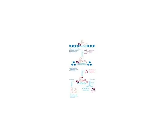 62-8395-02 EZ-Magna ChIRP RNA Interactome Kit 17-10495