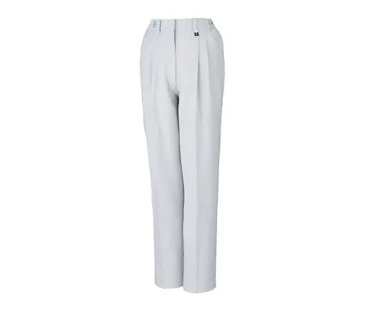 3-724-01 High Antistatic Pants For Women (Two-Tuck) Silver S 80406-036-S