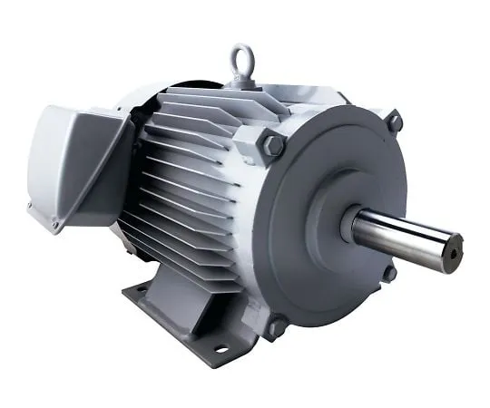 4-416-01 Three-Phase Motor 0.75kW SF-PR 0.75KW 4P 200V MEATH