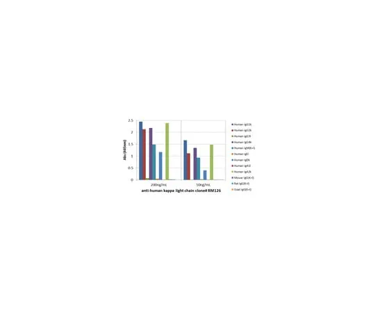 62-8369-82 Rabbit Anti-Human Ig kappa light chain Antibody, clone RM126 04-1660
