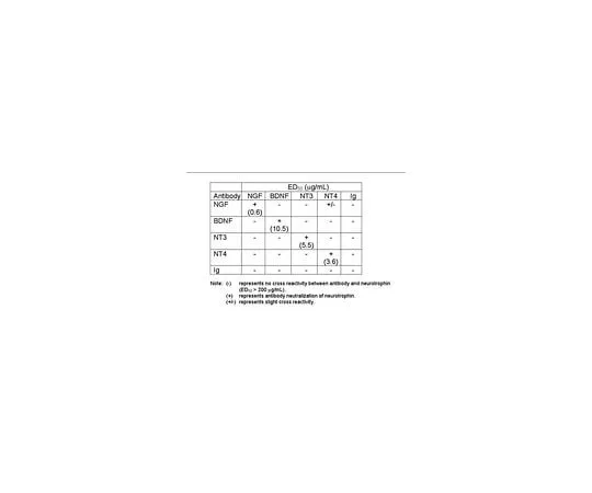 62-8445-05 Anti-Brain Derived Neurotrophic Factor; 100 μL AB1513