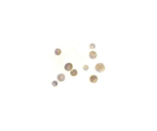 62-8458-94 Anti-TACI ABC847