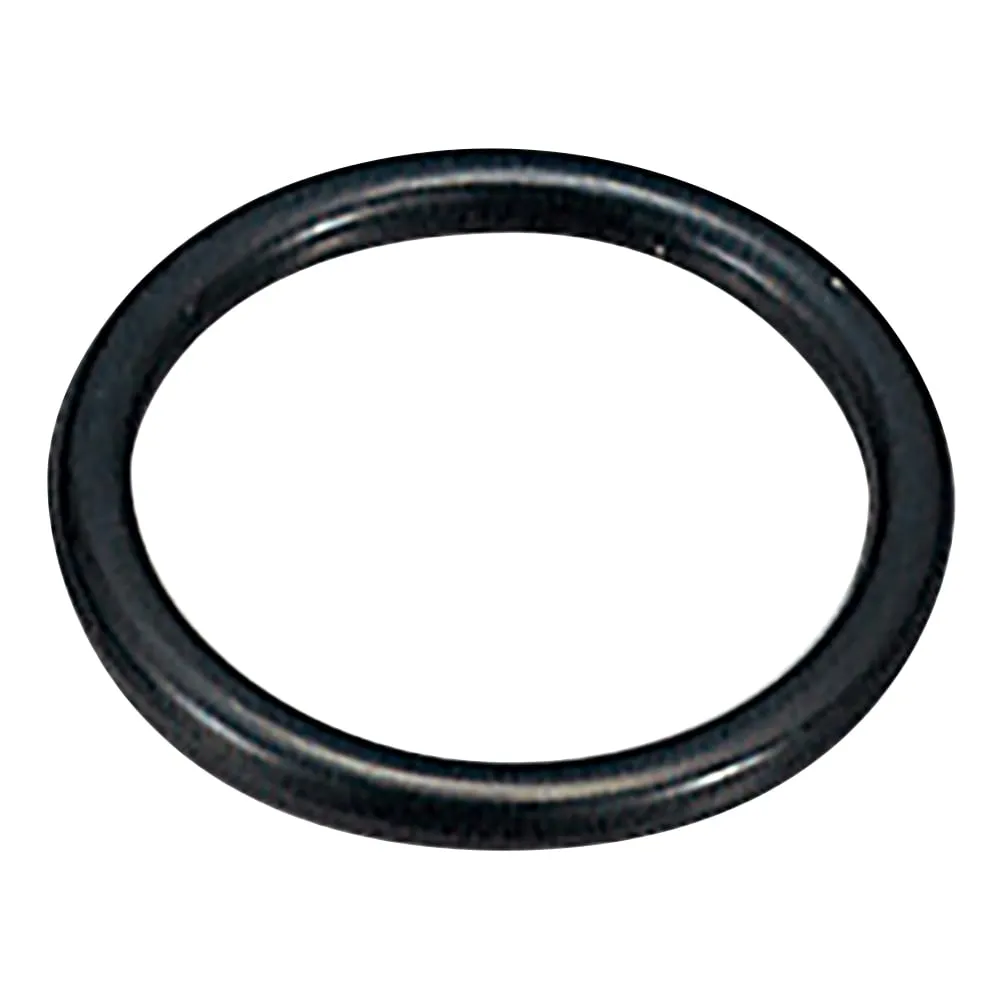 1-8176-01 King Perfluoro O-Ring φ2.8mm P-3-300
