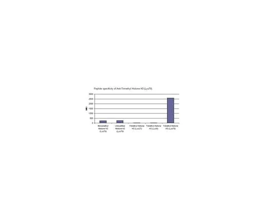 62-8387-05 Anti-trimethyl Histone H3 (Lys79) Trial Size 07-952-S