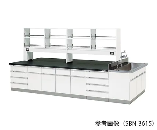 3-7812-01 Laboratory center bench (Wood Type) 2400 × 1200 × 800/1800mm SBN-2412