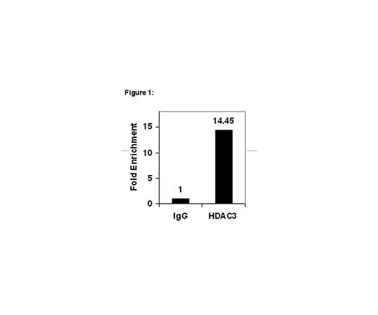 62-8394-70 ChIPAb+(TM) HDAC3; 25 assays 17-10238