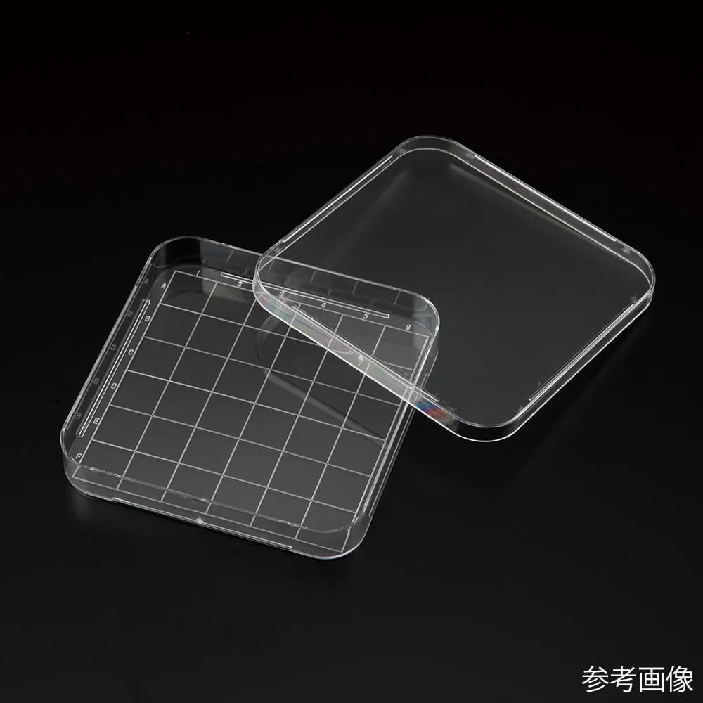 4-5746-01 Violamo Square Petri Dish 1 Box (Contains 10 Sheets x 24 Packs) VSD-126