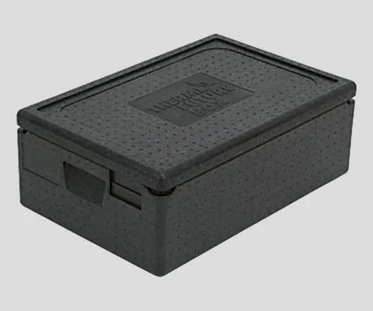 2-9968-01 Insulating Container 21L TF10023
