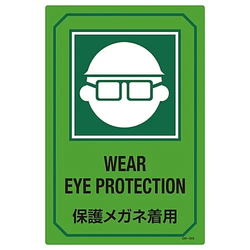 61-3390-12 Sign With English Letters Wear Protective Eyewear GB-203 95203