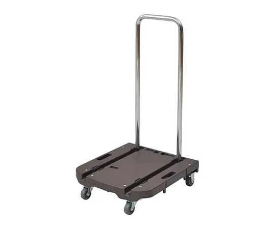 61-9632-55 CARRY, Light And Fashionable Dark Brown OTG-E50DB