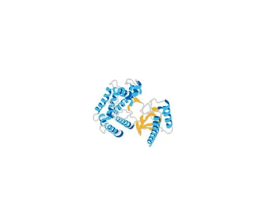 62-8388-98 Collagen Type I, rat tail; 100 mg 08-115