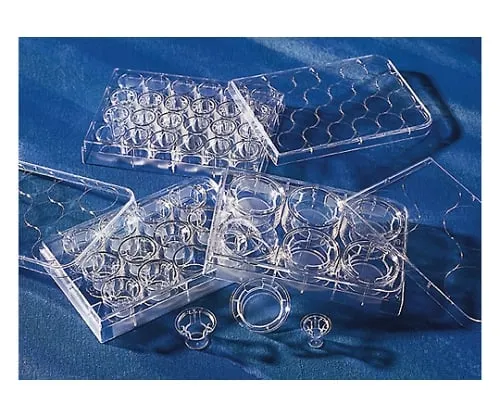 61-4688-30 Transwell Clear 6 Wells 0.4μm, Cell Cultivated Surface Treatment Processed 3450