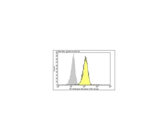 62-8381-88 Anti-Androgen Receptor, PG-21; 100 μL 06-680