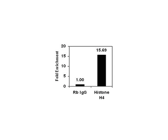 62-8394-01 ChIPAb+ Histone H4; 25 assays 17-10047