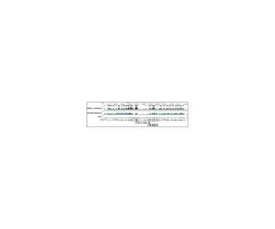62-8461-65 Anti-trimethyl-Histone H3 (Lys36) Antibody, Trial Size ABE435-S ABE435-S