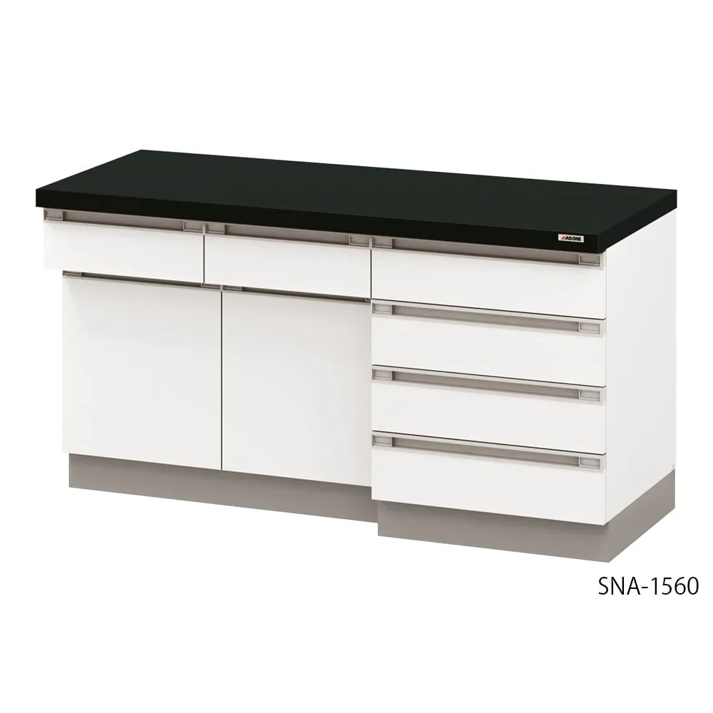 4-5562-01 Side Laboratory Table (Wooden Type, With Mark) 1200 x 600 x 850 mm SNA-1260H
