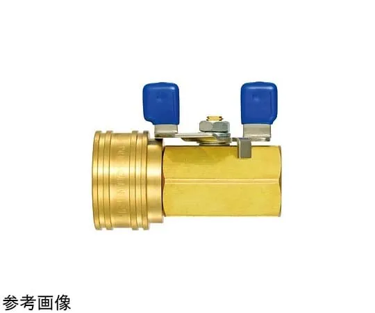 65-9009-04　［Discontinued］TSP Coupler Screw Size R3/4 491 g　BV-6TSFBRASSFKM