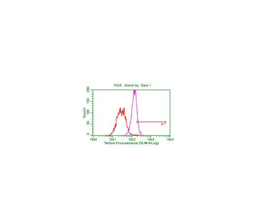 62-8373-97 Anti-phospho-Akt (Ser473), clone 6F5; 100 μg 05-1003