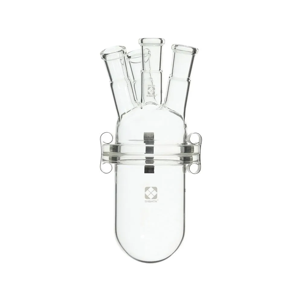 61-4420-31 SPC Separable Flask Set 200mL 032300-4