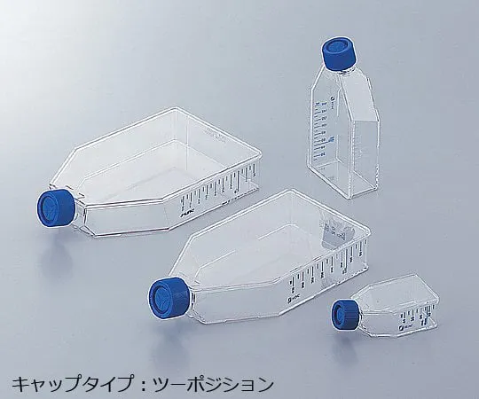1-7365-01 Easy Flask 25cm2 (Two Position Cap) 156340
