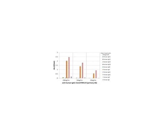 62-8369-79 Rabbit Anti-Human IgA2, clone RM125 Antibody 04-1657