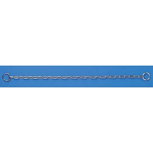 61-3432-21 Chain P-600 308121