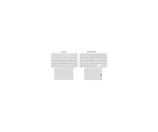 62-8388-11 Anti-monomethyl Histone H4 (Lys20), Trial Size 07-1570-S