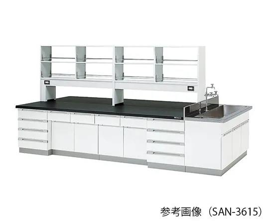 3-7781-01 Laboratory center bench (Wood Type) 2400 × 1200 × 800/1800mm SAN-2412