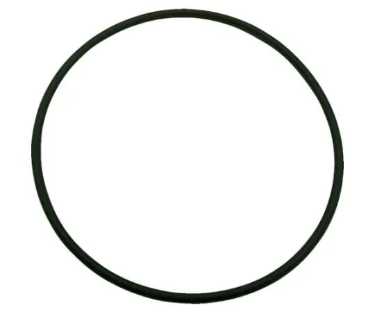 61-2045-55 O-Ring (FKM) Inner Dim. 24.4, Wire thickness 3.1, 1A G-25 (10Pcs) 1A-G25