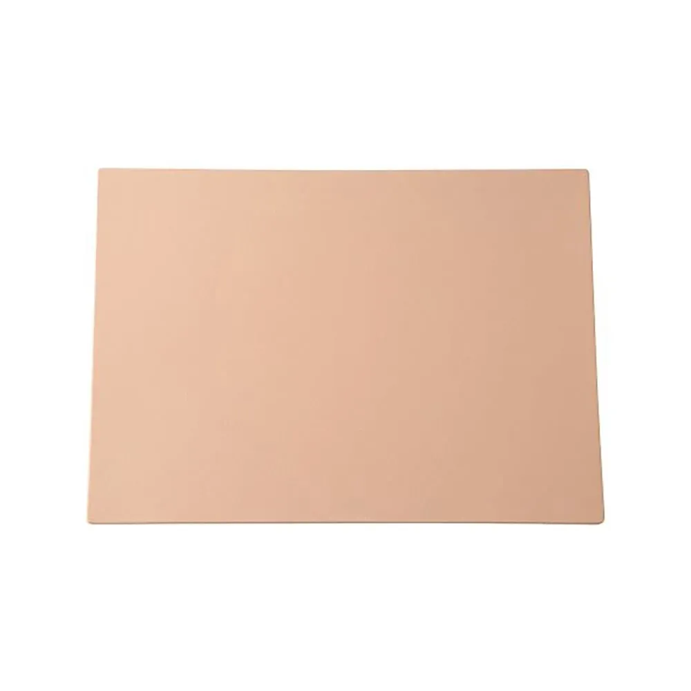 4-1493-01 Bio Skin Plate A4 Size Urethane Gel, Rough H077-003#BSC