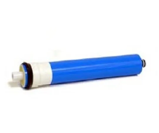 2-6498-13 RO Filter 22.0046