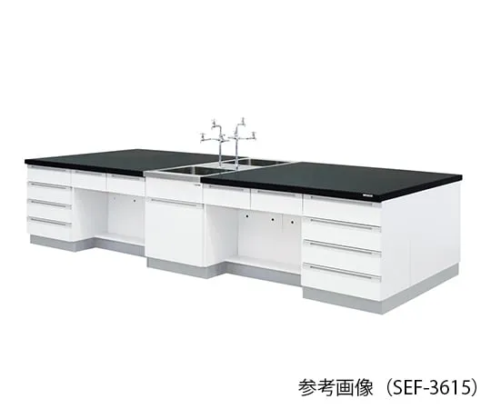 3-7930-01 Laboratory center bench (Wood Type) 2400 × 1200 × 800mm SEF-2412