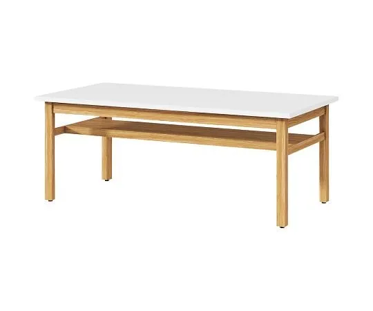 4-1153-01 Student clothes desk double side particle board CHE-1890M