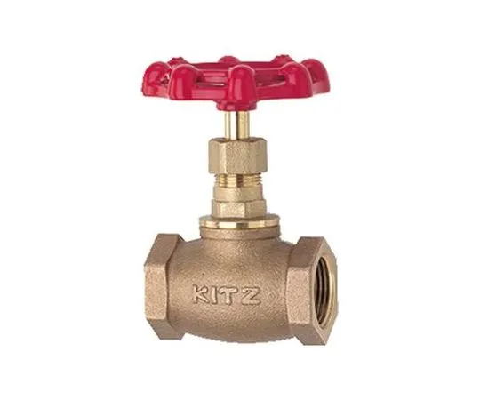 65-1888-18 General Purpose Globe Valve (C) Nominal Diameter 8 mm C8A