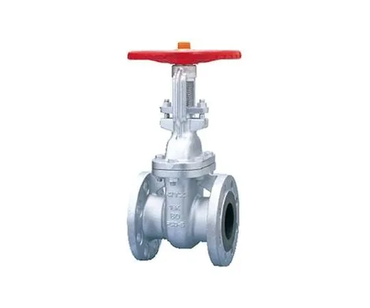 65-1881-18 Ductile Iron Gate Valve ((F) 16 SMBO) Nominal Diameter 65 mm F16SMBO65A