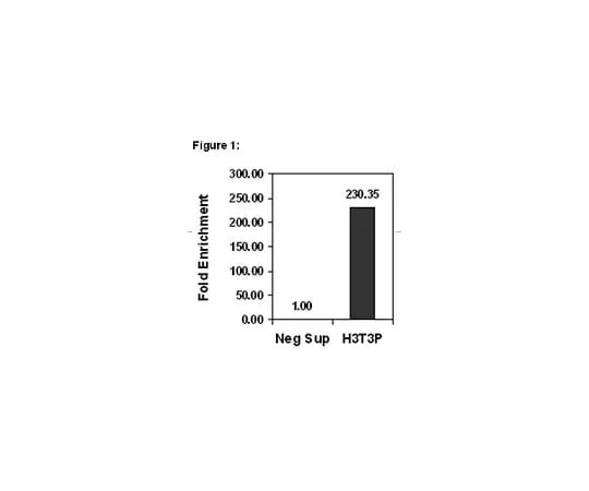 62-8394-30 ChIPAb+(TM) Phospho-Histone H3 (Thr3); 25 assays 17-10141