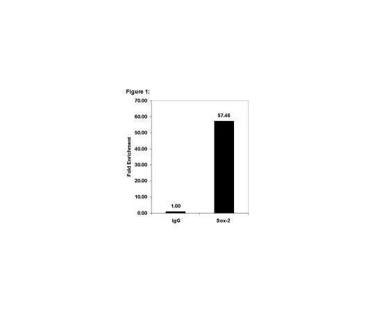 62-8393-71 ChIPAb+ Sox-2, clone 6F1.2; 25 assays 17-656