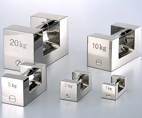 61-3513-65 Pillow Type Weight F2 Grade 1kg (In Aluminum Case)