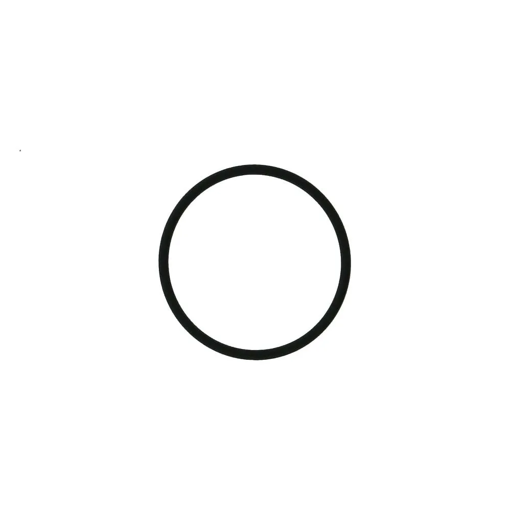 61-4428-99 O-Ring Perfluor for CPP Type for Pressurized Vessel 70mL 054310-2721