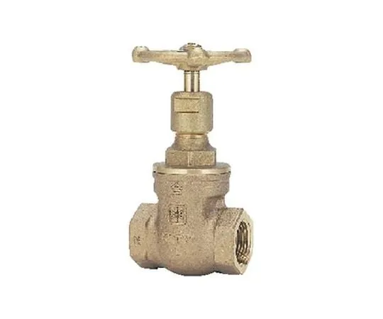 65-1890-12 Buried gate valve (WN) Nominal Diameter 20 mm WN20A