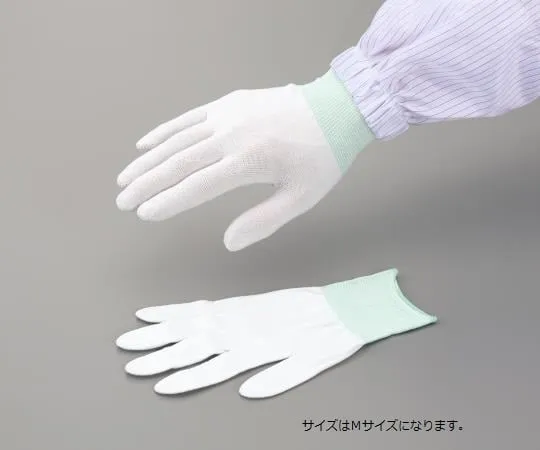 1-3910-11 ASPURE SILVIX Gloves Ⅱ S -
