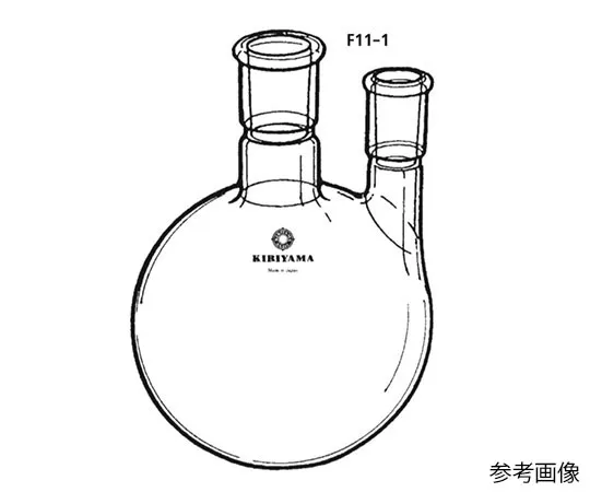 63-4256-54 Two-neck Flask (vertical type) 500mL F11-1-1
