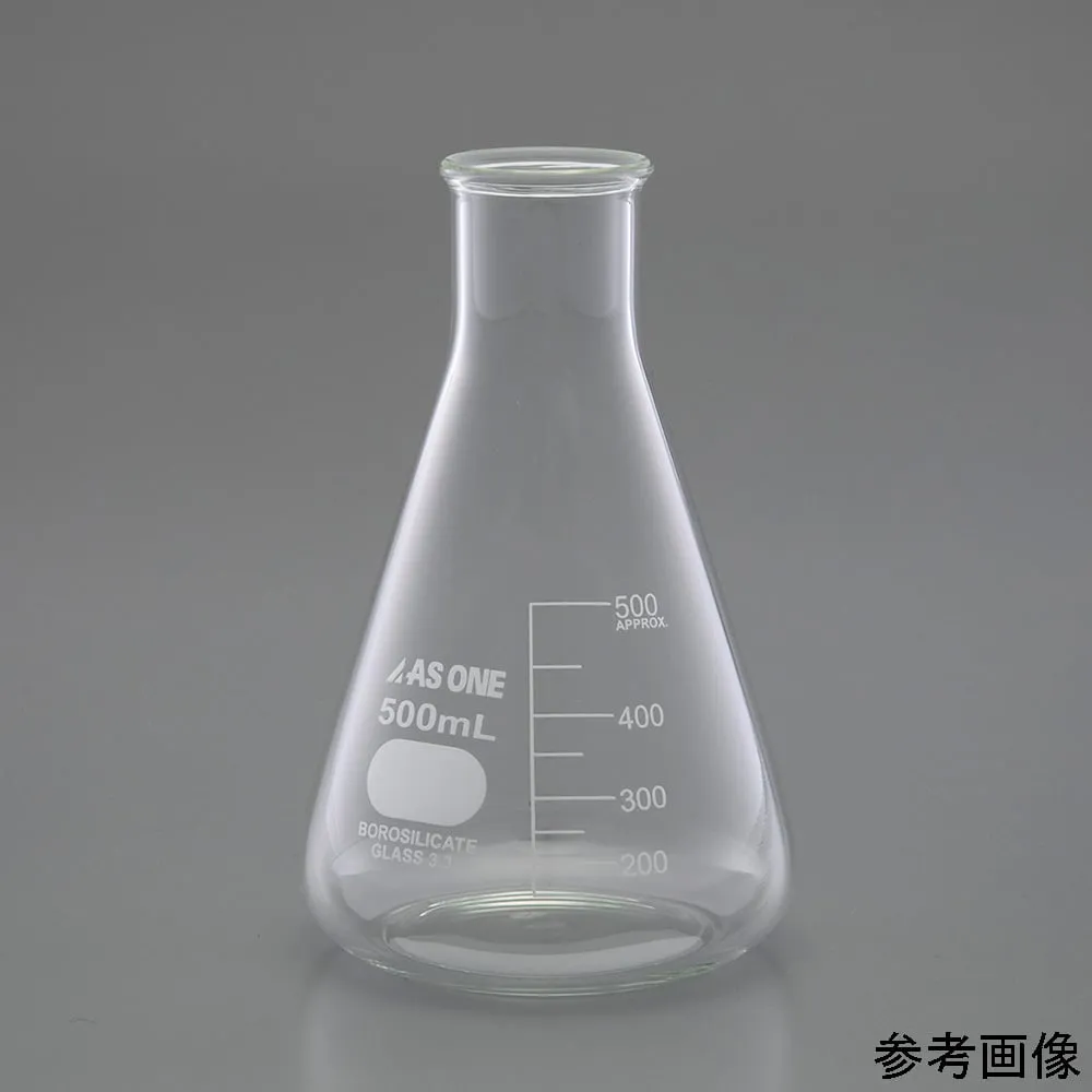 4-6495-01 Erlenmeyer Flask 50 mL