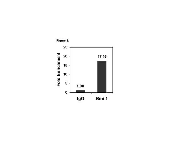 62-8392-92 Magna ChIP(TM) Protein GMagnetic Beads; 50 reactions 16-662